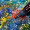 artist-138-artwork-007-4 IN PROGRESS #7